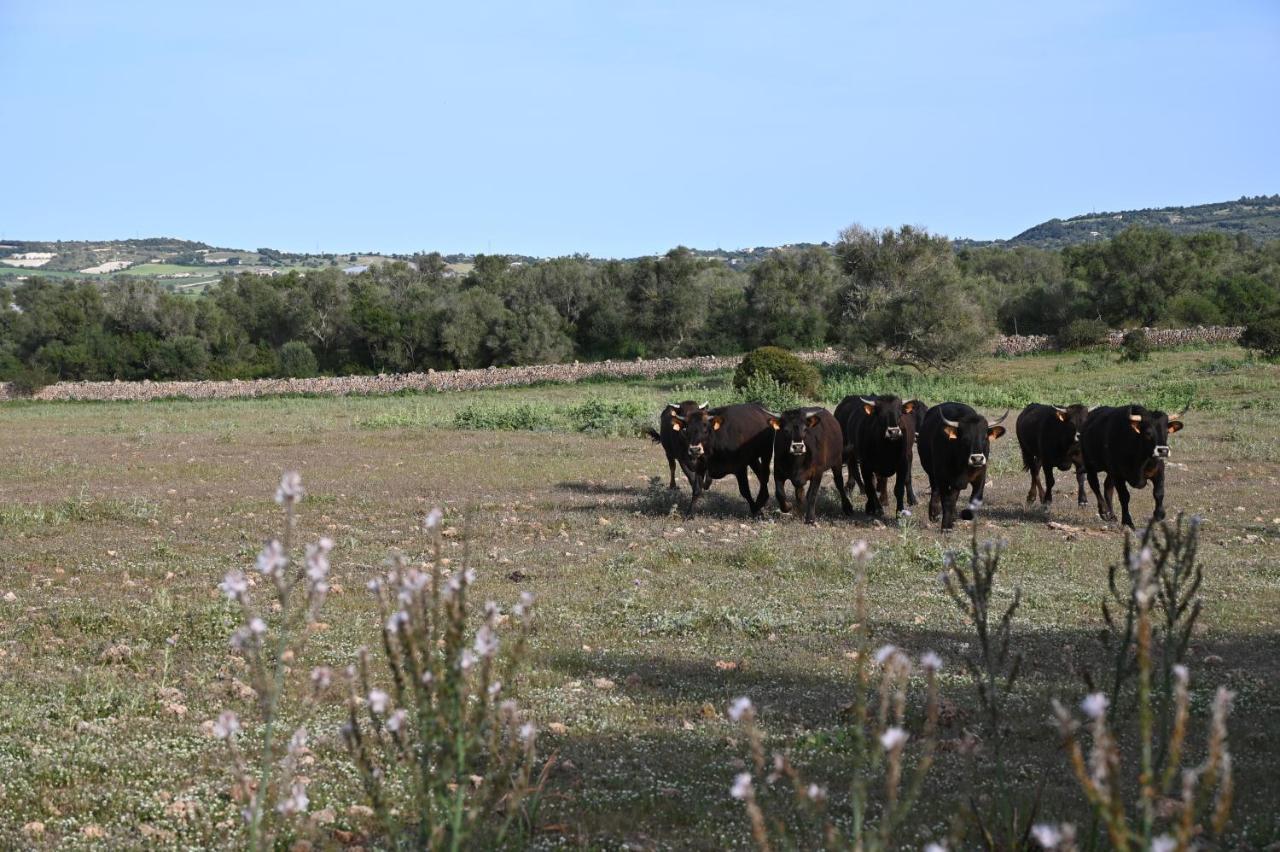 Finca Sa Cova Vella Manacor  Exteriör bild