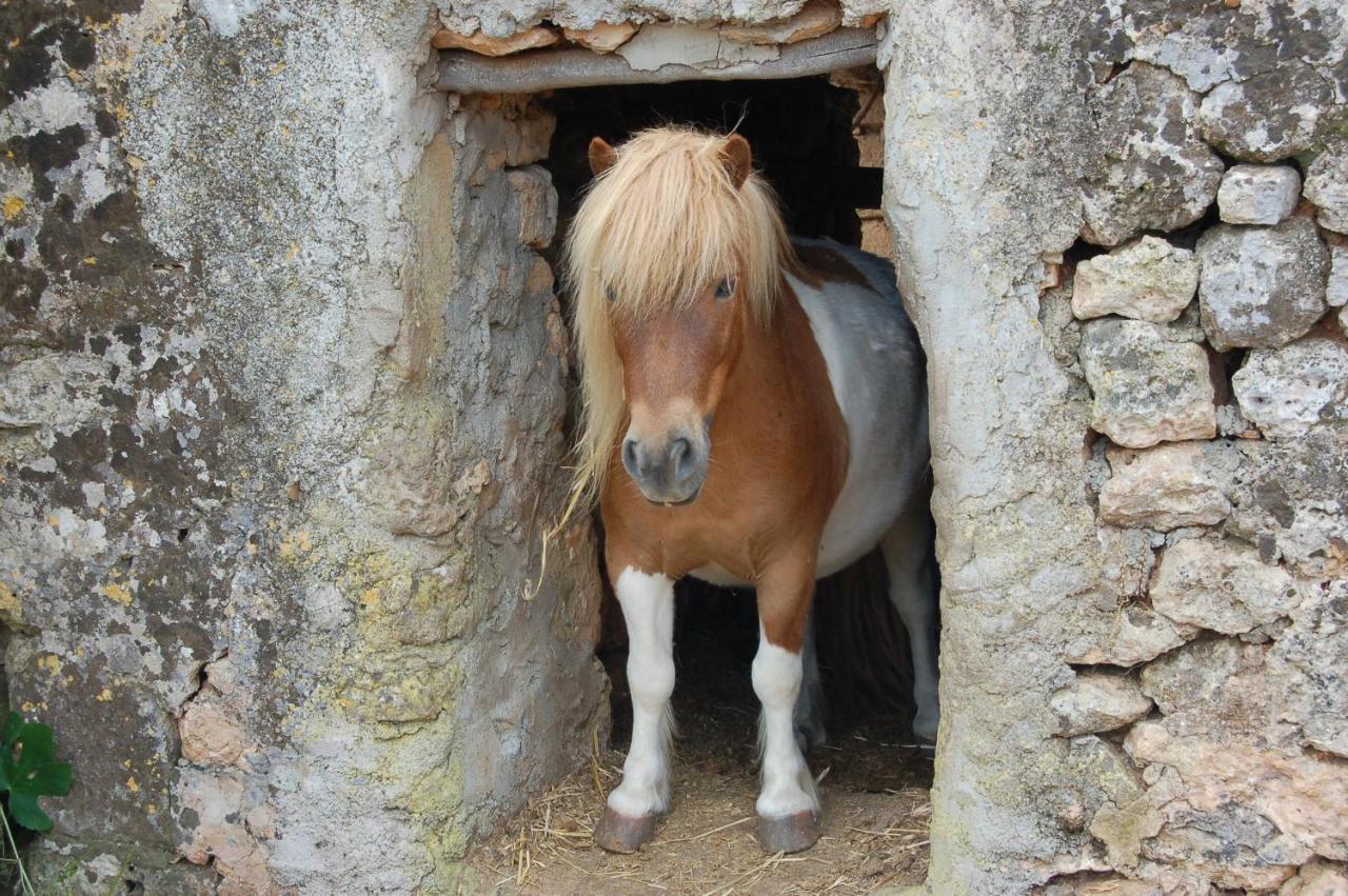 Finca Sa Cova Vella Manacor  Exteriör bild