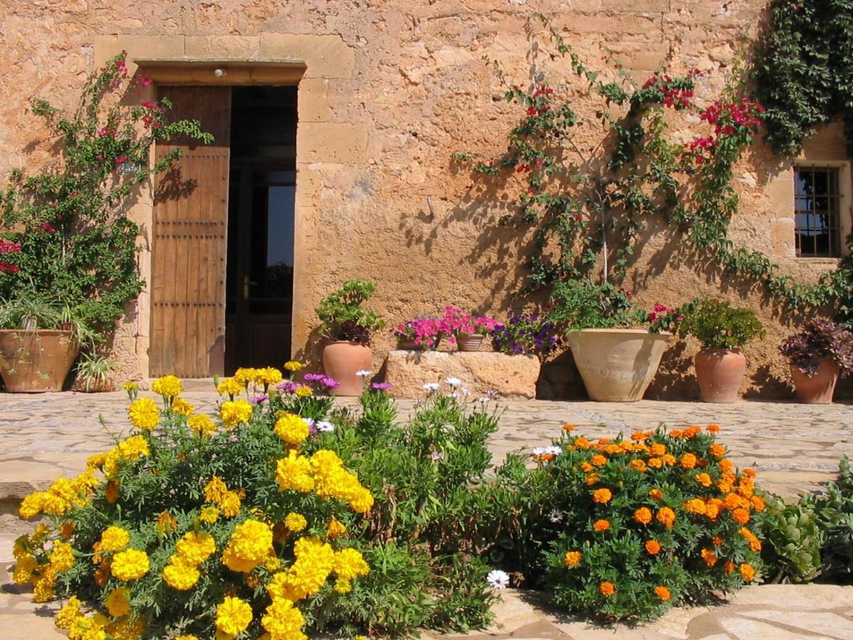 Finca Sa Cova Vella Manacor  Exteriör bild