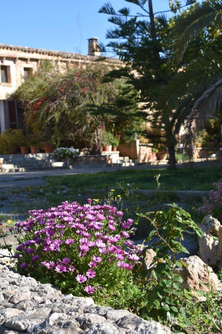 Finca Sa Cova Vella Manacor  Exteriör bild