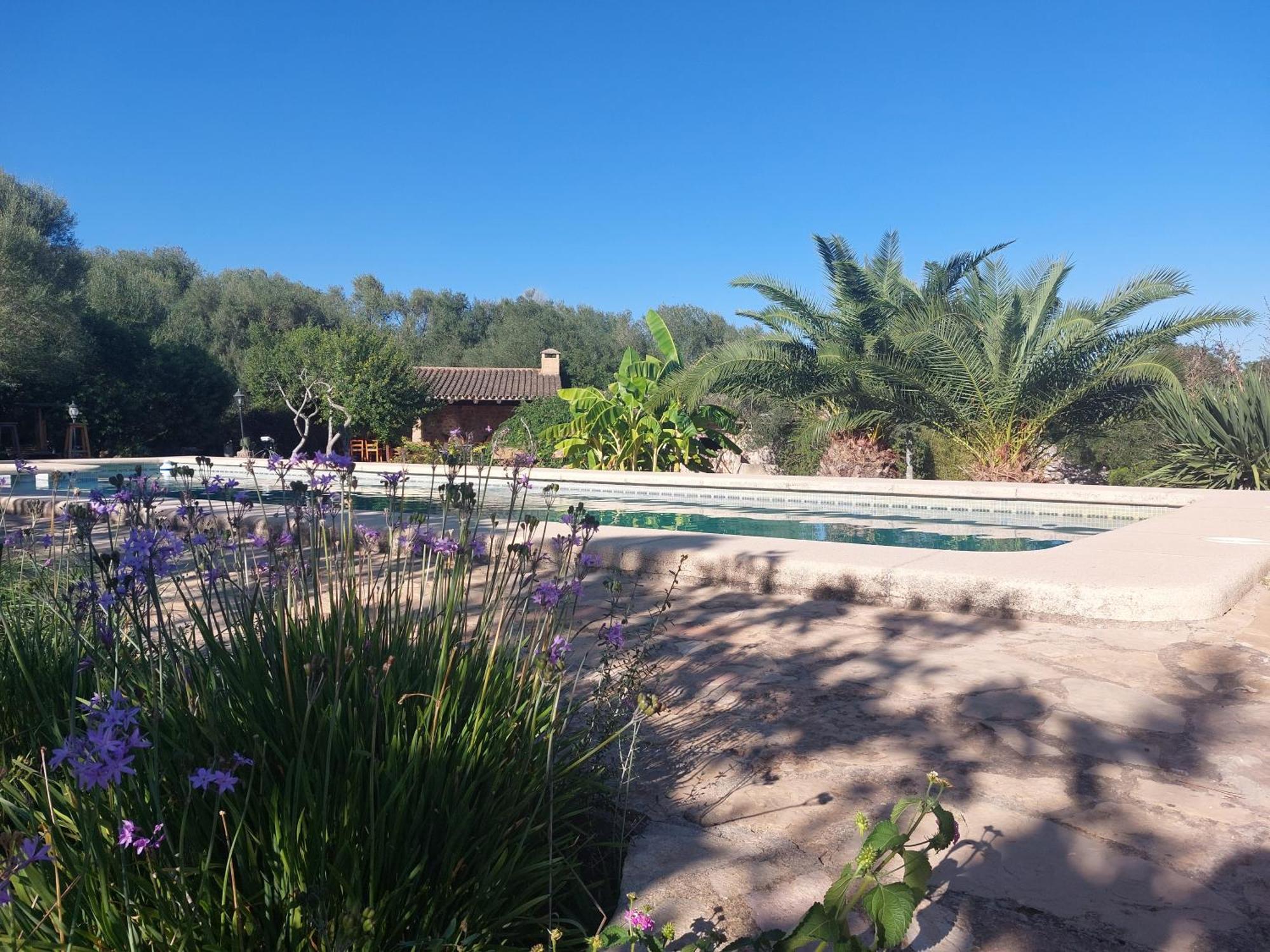 Finca Sa Cova Vella Manacor  Exteriör bild