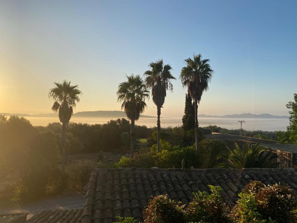 Finca Sa Cova Vella Manacor  Exteriör bild