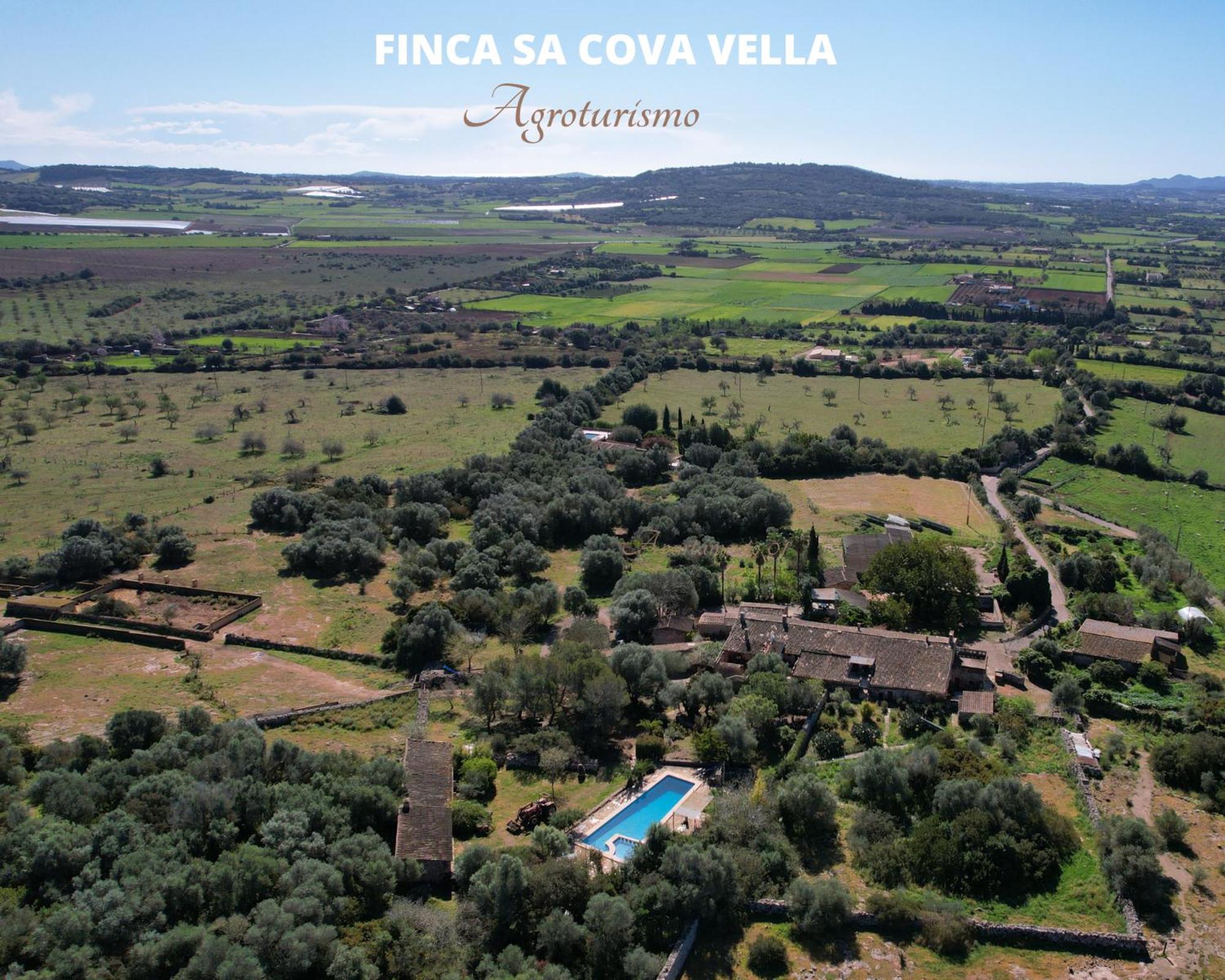 Finca Sa Cova Vella Manacor  Exteriör bild